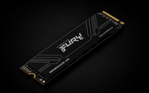 Kingston FURY Renegade G5 PCIe 5.0 NVMe M.2 SSD 1T-SFYR2S/1T0