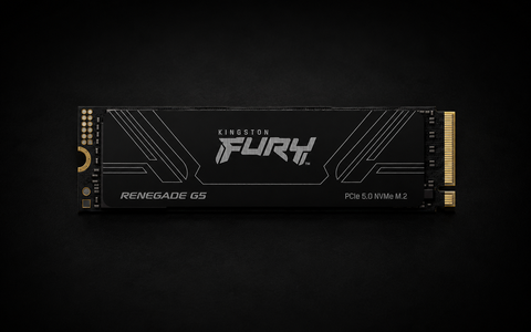 Kingston FURY Renegade G5 PCIe 5.0 NVMe M.2 2280 SSD 4T-SFYR2S/4T0